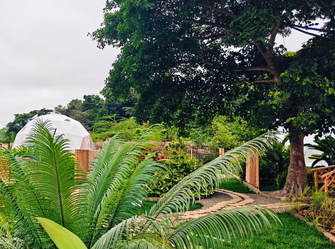 The garden in full leaf, domes beyond the palms